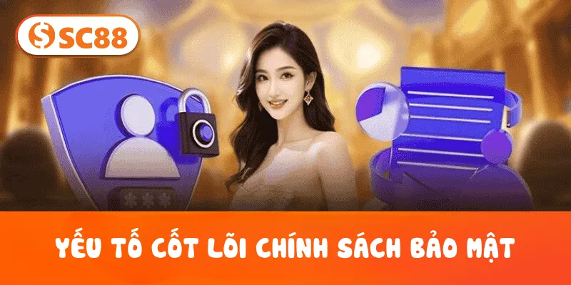 Yếu tố cốt lõi Chính Sách Bảo Mật