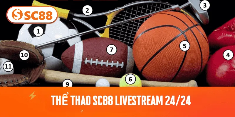 Thể Thao livestream 24/24